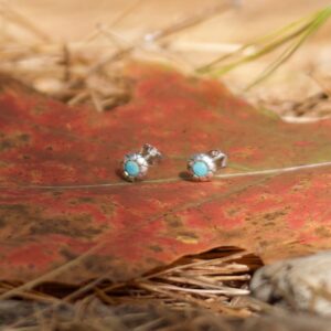 Silver Stone Earring
