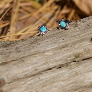 Silver Stone Earrings - Turtle